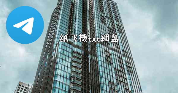 纸飞機txt網盘