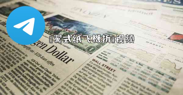 鸭翼式纸飞機折叠视频