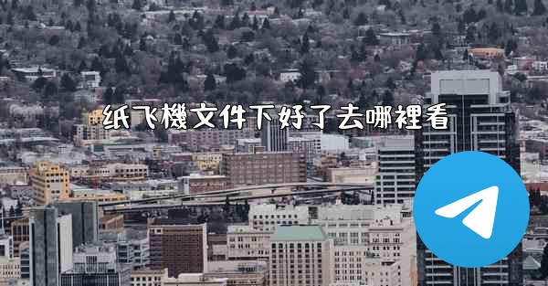 纸飞機文件下好了去哪裡看