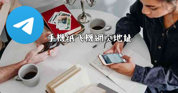 手機纸飞機網页地址