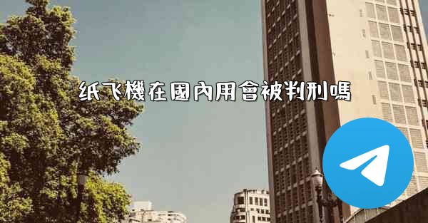 纸飞機在國內用會被判刑嗎