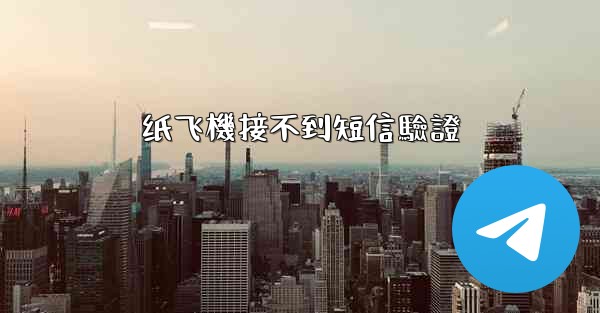 纸飞機接不到短信驗證