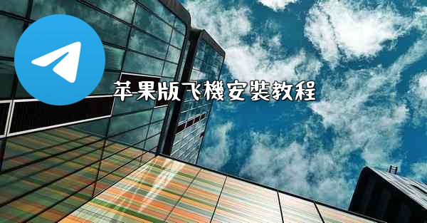 苹果版飞機安裝教程