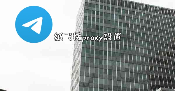 纸飞機proxy設置