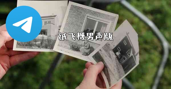 纸飞機男声版