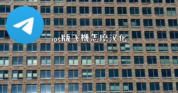 ios版飞機怎麼汉化