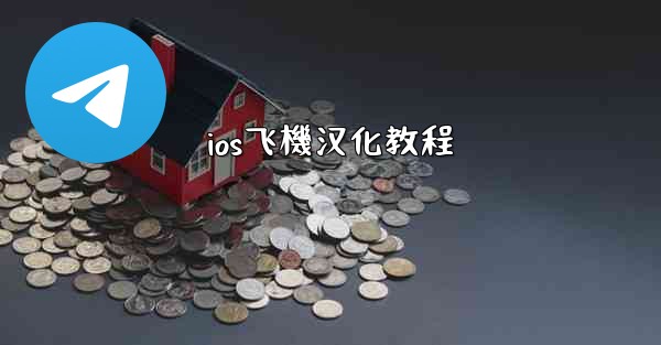 ios飞機汉化教程