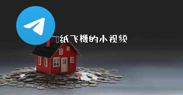 叠纸飞機的小视频