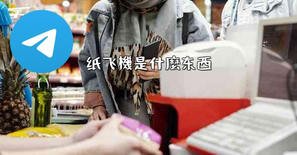 纸飞機是什麼东西