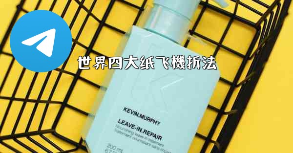 <b>世界四大纸飞機折法</b>