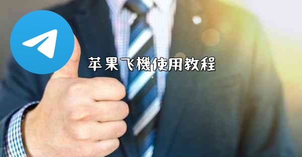 苹果飞機使用教程