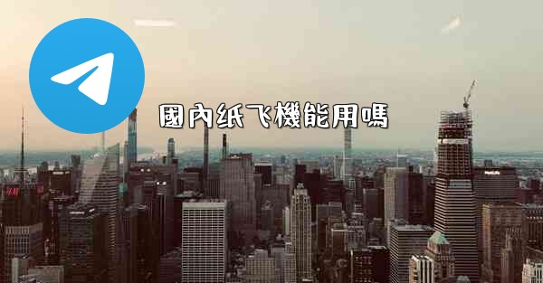 國內纸飞機能用嗎