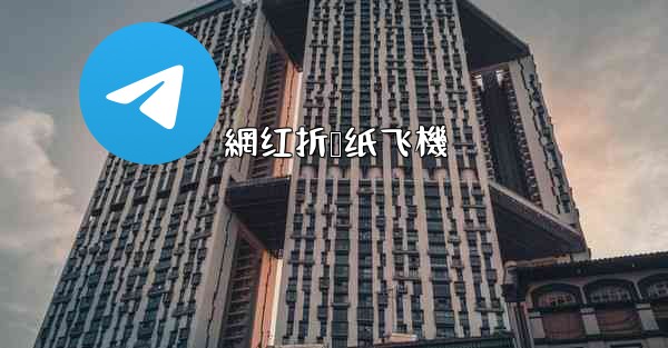 網红折叠纸飞機