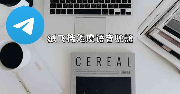 纸飞機怎麼语音驗證