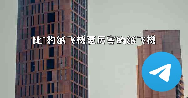 <b>比猎豹纸飞機要厉害的纸飞機</b>