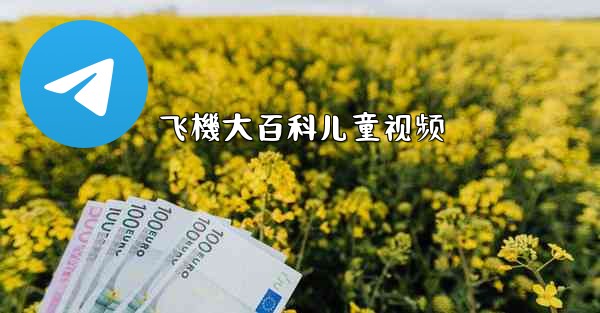 <b>飞機大百科儿童视频</b>