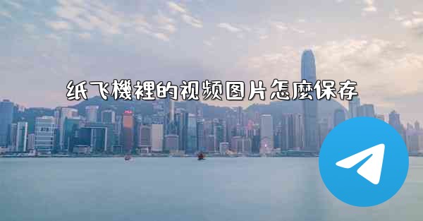 纸飞機裡的视频图片怎麼保存