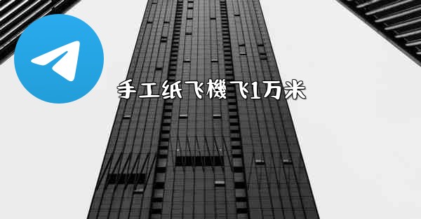 <b>手工纸飞機飞1万米</b>