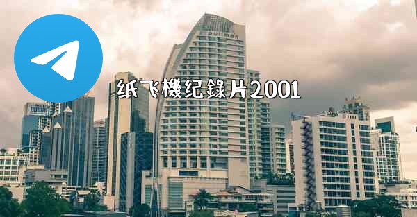 纸飞機纪錄片2001