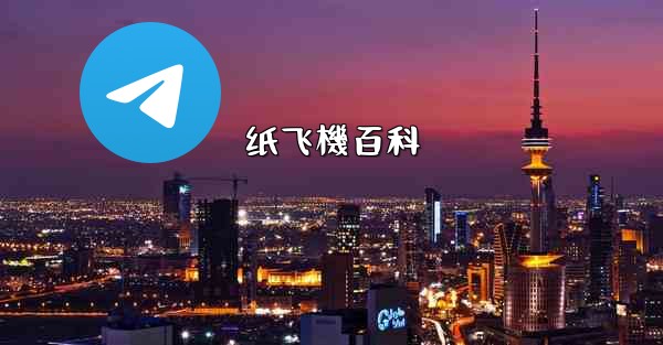 <b>纸飞機百科</b>