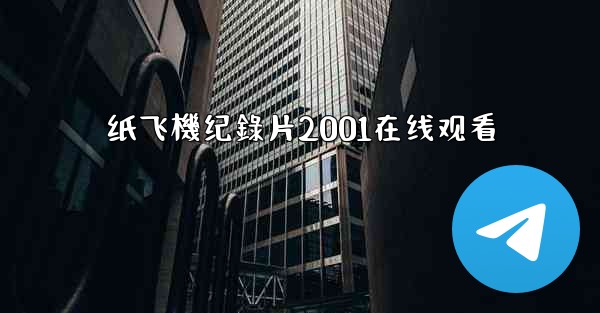 纸飞機纪錄片2001在线观看