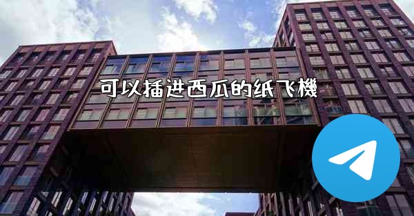 可以插进西瓜的纸飞機