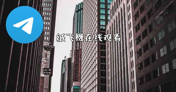 纸飞機在线观看