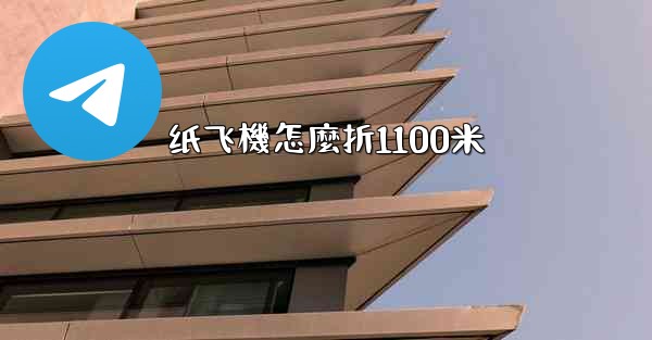 纸飞機怎麼折1100米
