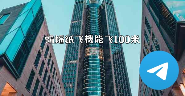蝙蝠纸飞機能飞100米