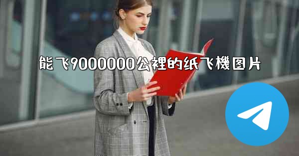 能飞9000000公裡的纸飞機图片