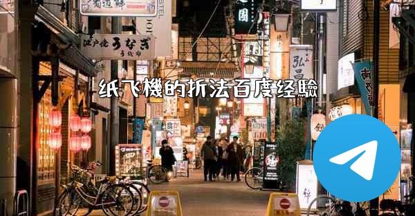 纸飞機的折法百度经驗