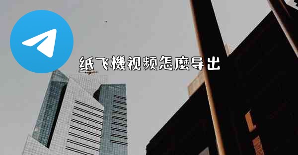 纸飞機视频怎麼导出