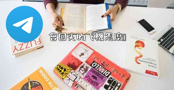 會回头的飞機怎麼叠