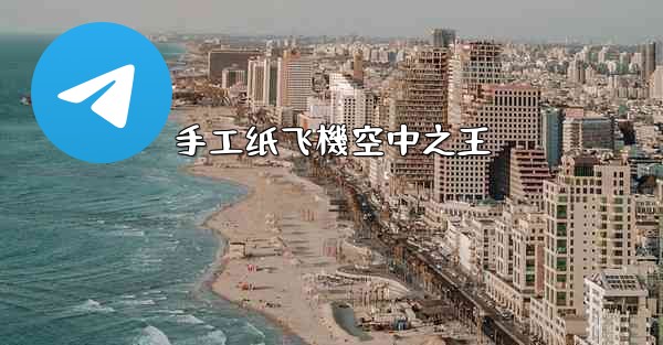 <b>手工纸飞機空中之王</b>