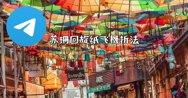 苏珊回旋纸飞機折法