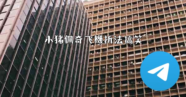 <b>小猪佩奇飞機折法搞笑</b>