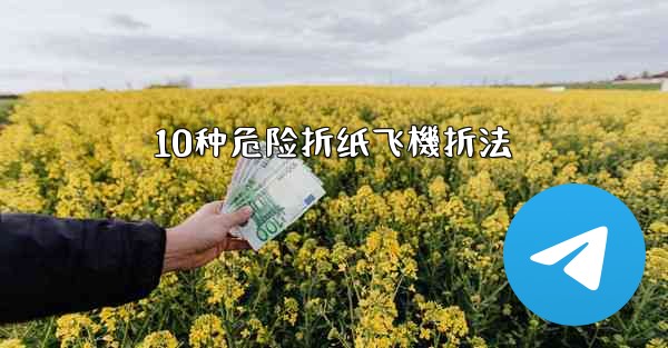 10种危险折纸飞機折法