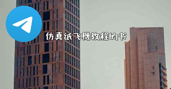 仿真纸飞機教程的书