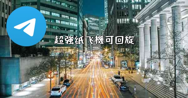 <b>超強纸飞機可回旋</b>