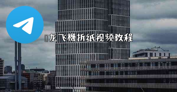 枭龙飞機折纸视频教程