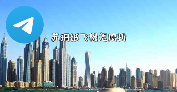 苏珊纸飞機怎麼折