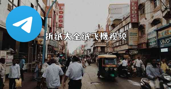 折纸大全纸飞機视频