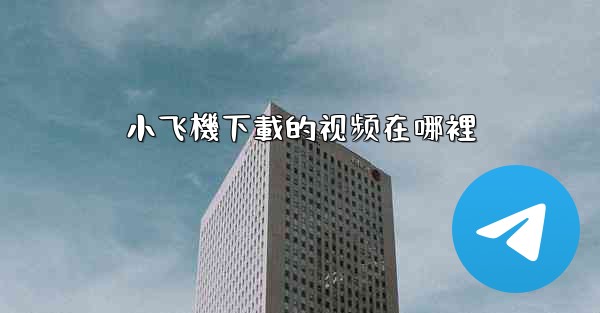 小飞機下載的视频在哪裡