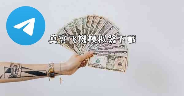 真實飞機模拟器下載