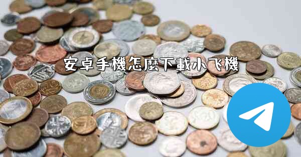 安卓手機怎麼下載小飞機