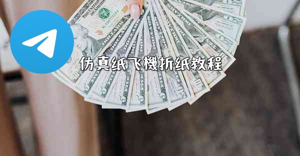 <b>仿真纸飞機折纸教程</b>