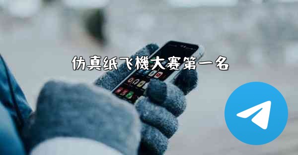 仿真纸飞機大赛第一名