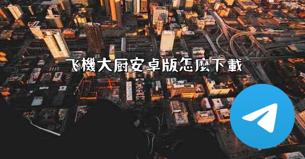 飞機大厨安卓版怎麼下載