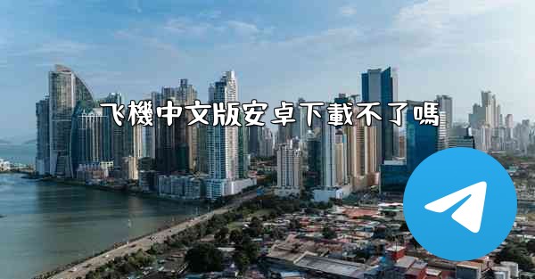 飞機中文版安卓下載不了嗎