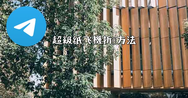 <b>超級纸飞機折叠方法</b>